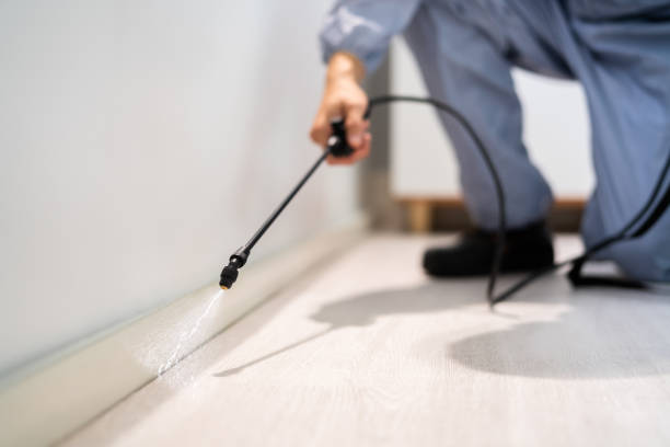 Licensed Cockroach Control service in St. Clairsville, OH - Nex Pest Control