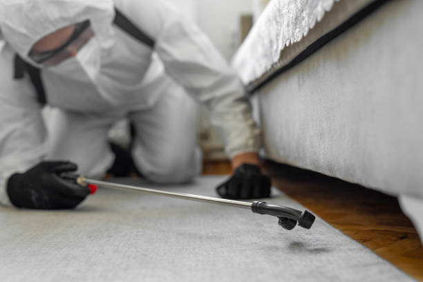 Professional Cockroach Control technician working in St. Clairsville, OH