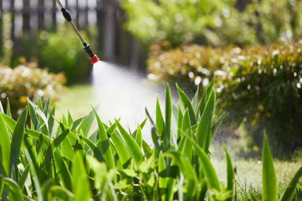 24/7 Emergency Cockroach Control experts in St. Clairsville, OH