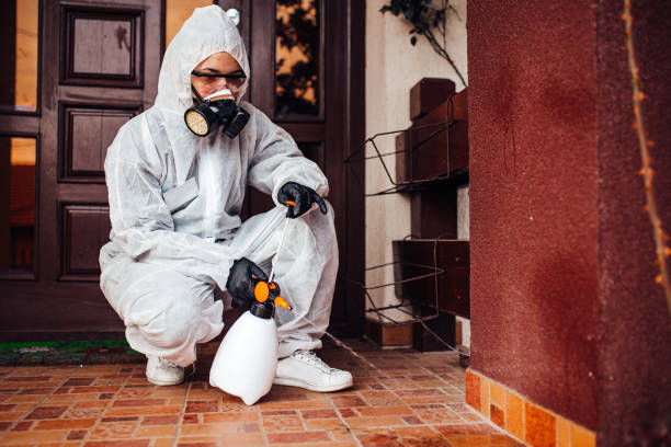 Reliable Cockroach Control contractor in St. Clairsville, OH by Nex Pest Control